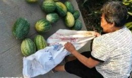 应城吃瓜最新事件爆料