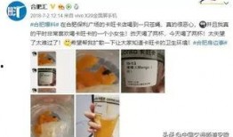 卡旺卡最新爆料,揭秘娱乐圈最新动态与幕后故事